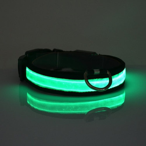 LED Light Up Dog Collar — Rechargeable Safety Glow Collar for Dogs