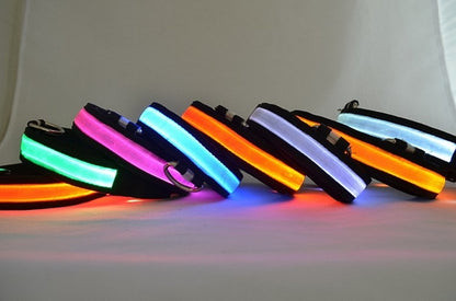 LED Light Up Dog Collar â€” Rechargeable Safety Glow Collar for Dogs