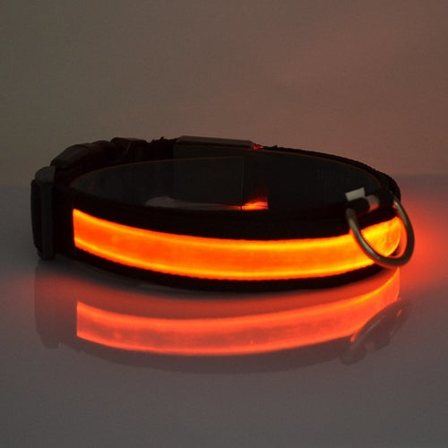 LED Light Up Dog Collar â€” Rechargeable Safety Glow Collar for Dogs
