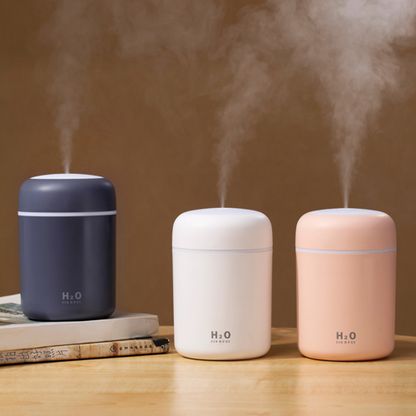 Portable Air Humidifier â€” Mini USB Cool Mist Humidifier for Home & Office